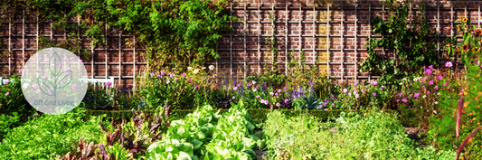 Gardening monthly plan for the entire year